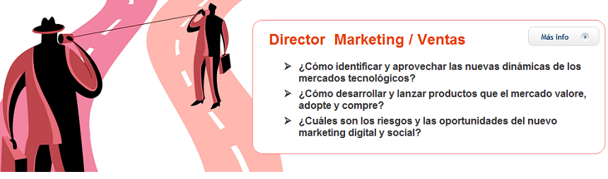 Director Marketing Ventas